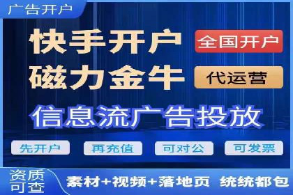 某某sem推广公司在某行业的应用与效果分析